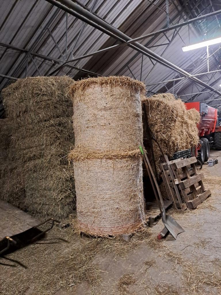 Stro te koop klein en groot + ronde stro en hooi, Zakelijke goederen, Landbouw | Veevoer, Ophalen