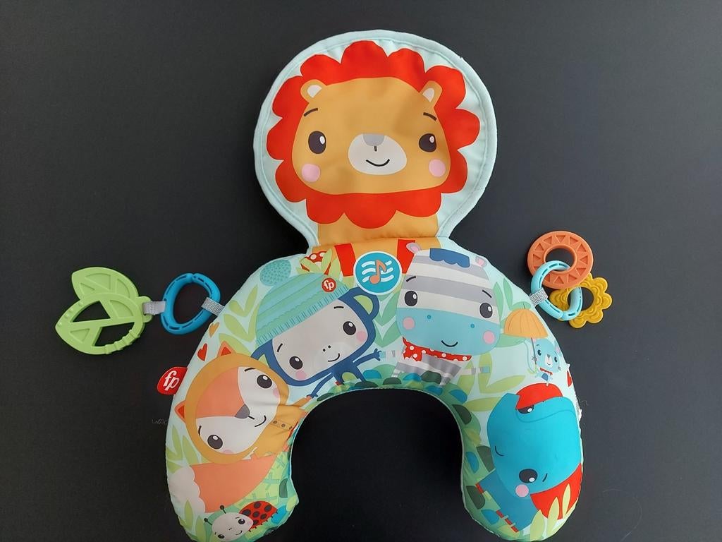 Speelmat Fisher Price, Kinderen en Baby's, Ophalen of Verzenden, Zo goed als nieuw