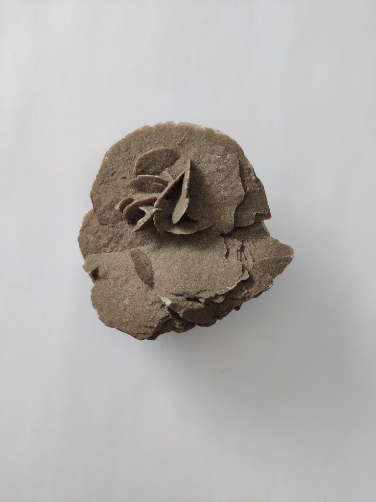 Woestijnroos, Verzamelen, Ophalen of Verzenden