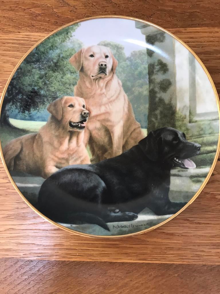 Assiette Canine Companions, Enlèvement ou Envoi