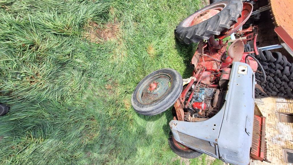 Ford 8n oldtimer tractor, Zakelijke goederen, Landbouw | Tractoren, Ophalen, Gebruikt, Tot 2500, Ford