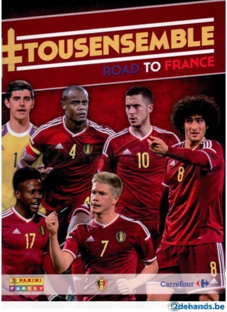TousEnsemble Road to France ('15) PaniniFamily trading cards, Hobby en Vrije tijd, Stickers en Plaatjes, Nieuw, Meerdere plaatjes