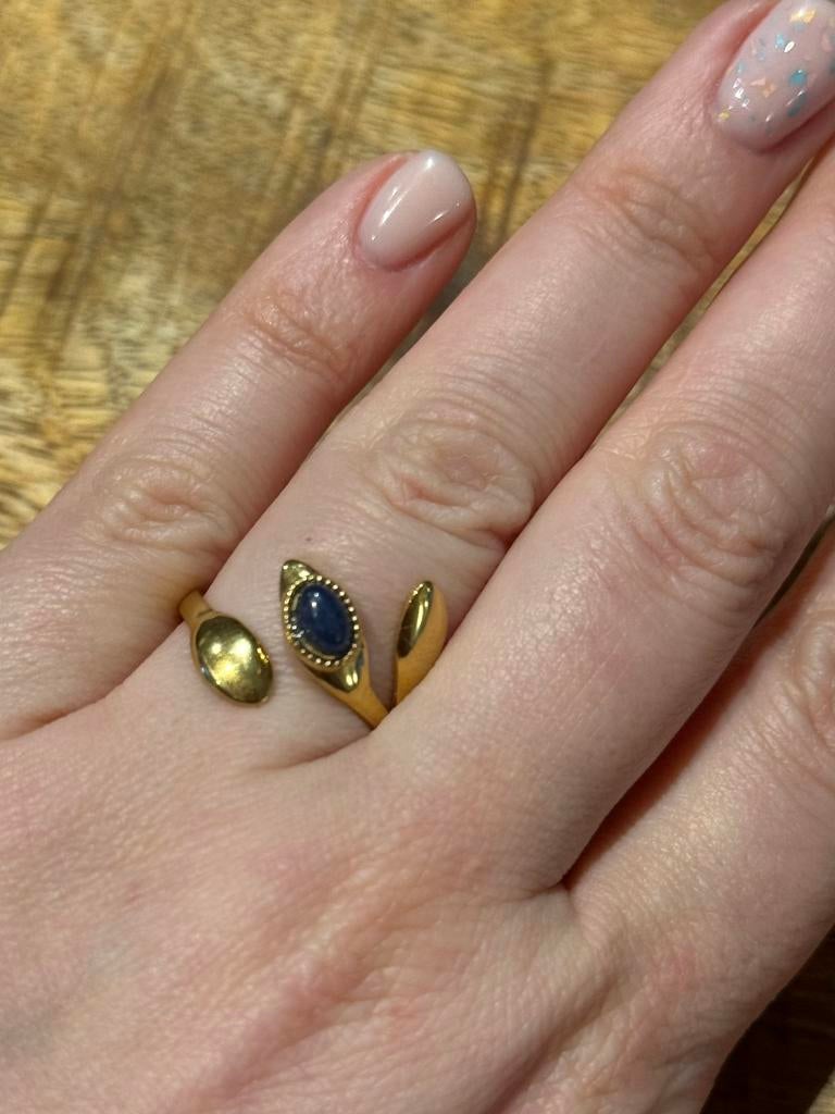 Nieuwe verstelbare RVS ring, Bijoux, Sacs & Beauté, Bagues, Neuf, Enlèvement ou Envoi, Fer ou Acier, Bleu