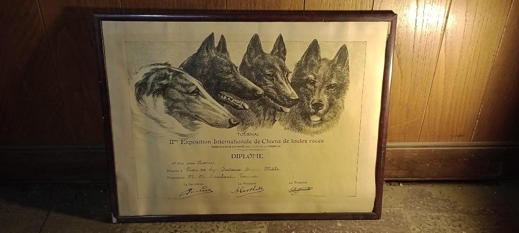 Gravure René PHIDELOIN concours canin Tournai, 1924, n292, Antiquités & Art, Enlèvement ou Envoi, Gravure, Encadré