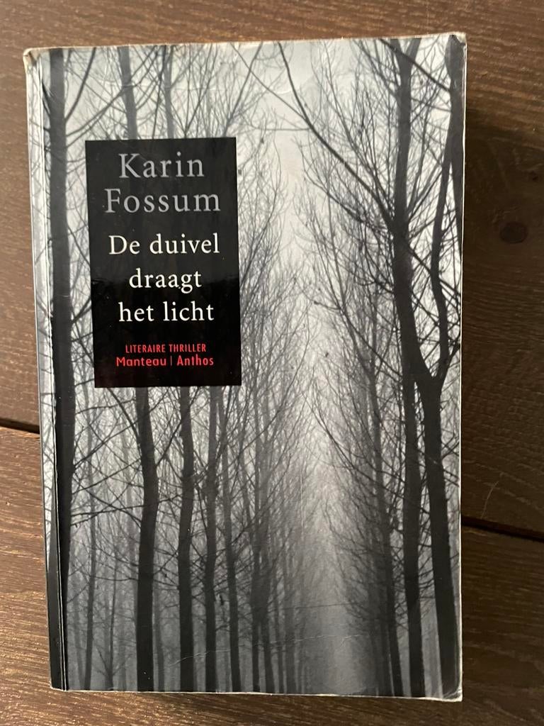 Karin Fossum - De duivel draagt het licht, Ophalen of Verzenden, Zo goed als nieuw, Karin Fossum