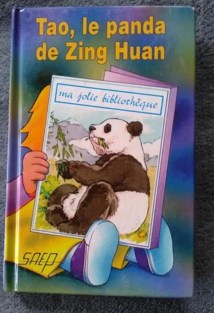 „Tao, de panda van Zing Huan” Jean-François Radiguet (1993), Boeken, Fictie algemeen, Ophalen of Verzenden, Zo goed als nieuw