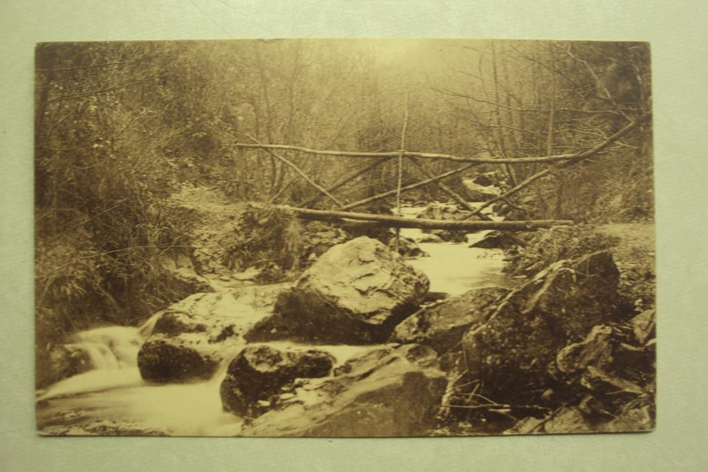45149 - REMOUCHAMPS - PONT RUSTIQUE, Verzenden