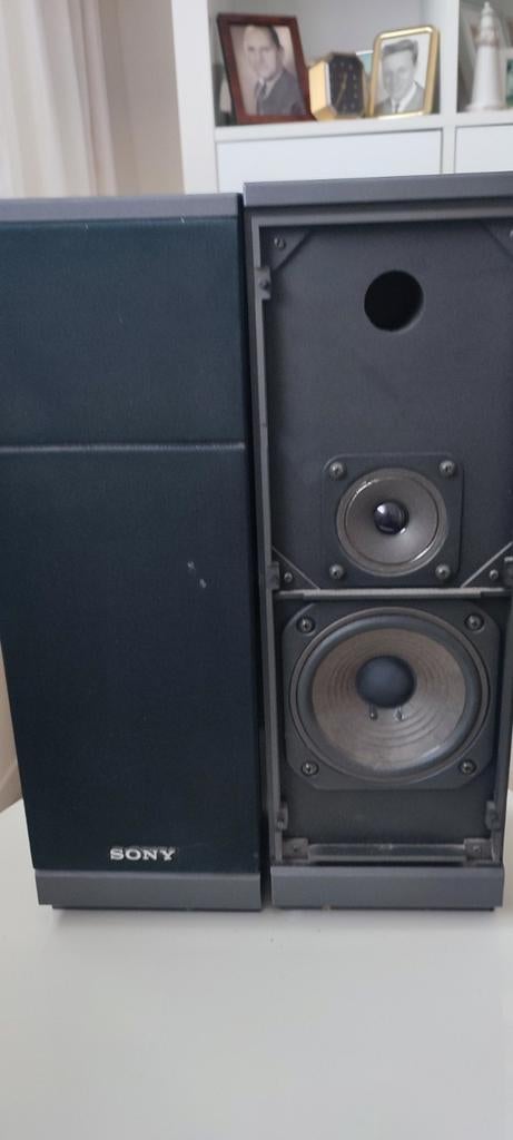 SONY-luidsprekers, Ophalen of Verzenden, Sony