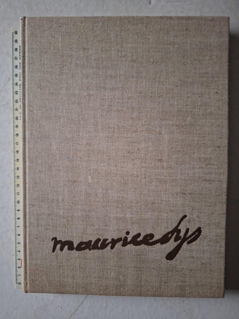 Monografie Maurice Sijs door Guido Sijs en Jos Murez, Ophalen of Verzenden, Zo goed als nieuw
