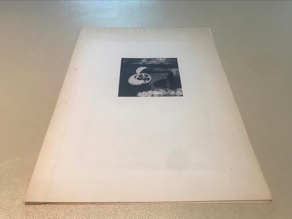 Edith De Vries Sculptures artistbook 10pag, Ophalen of Verzenden, Zo goed als nieuw, Beeldhouwkunst