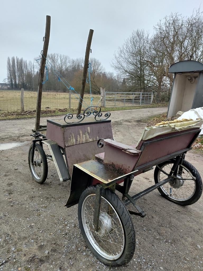 Koets paard / pony / ezel, Cheval