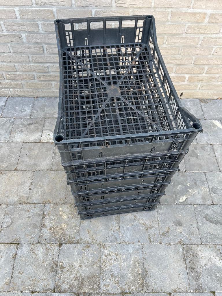 Stapelbakken kisten plastiek bakken kratten 60x40x12, Moins de 50 cm, 50 à 100 cm, Comme neuf, Synthétique