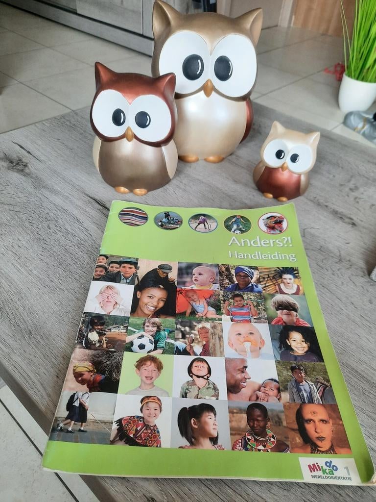 Mikado 1 Handleiding pakket, Boeken, Ophalen of Verzenden, Gelezen, Nederlands