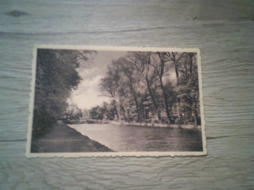 NIJVEL - NIVELLES: Etang du Parc de la Dodaine, Enlèvement ou Envoi, Avant 1920, Non affranchie, Brabant Wallon