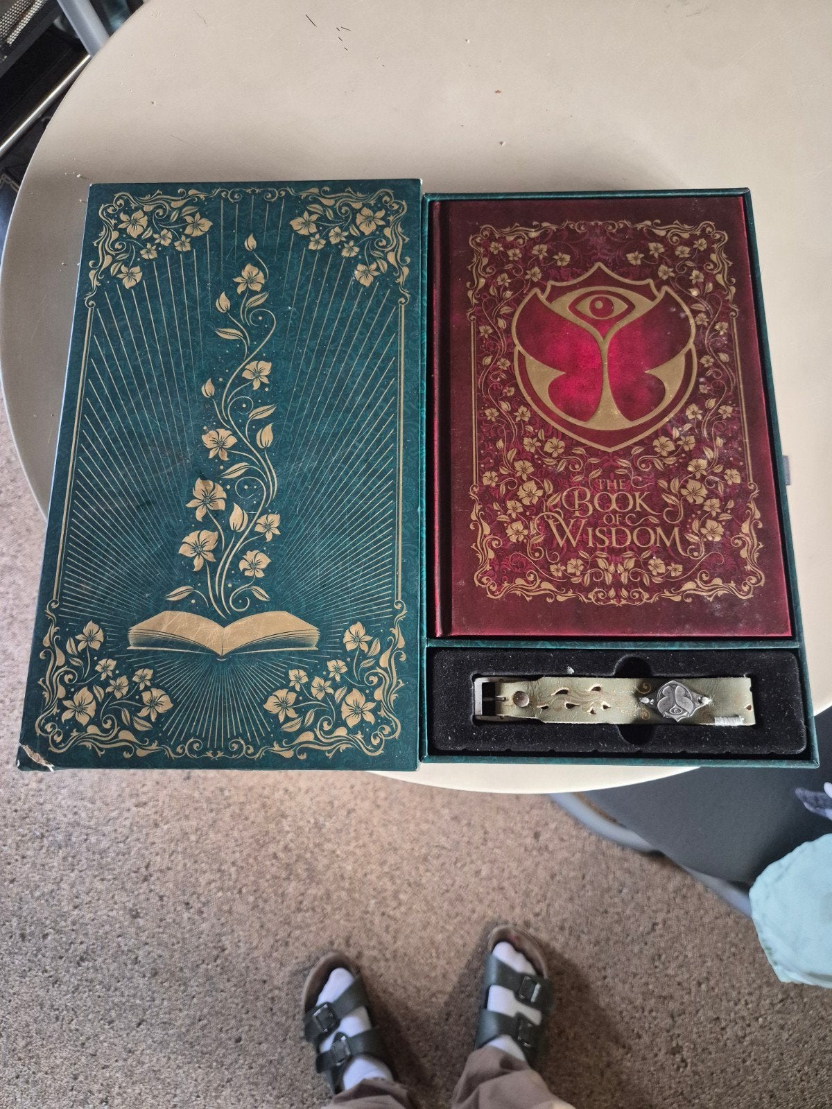 Tomorrowland the book of wisdom (2019) met bandje, Ophalen