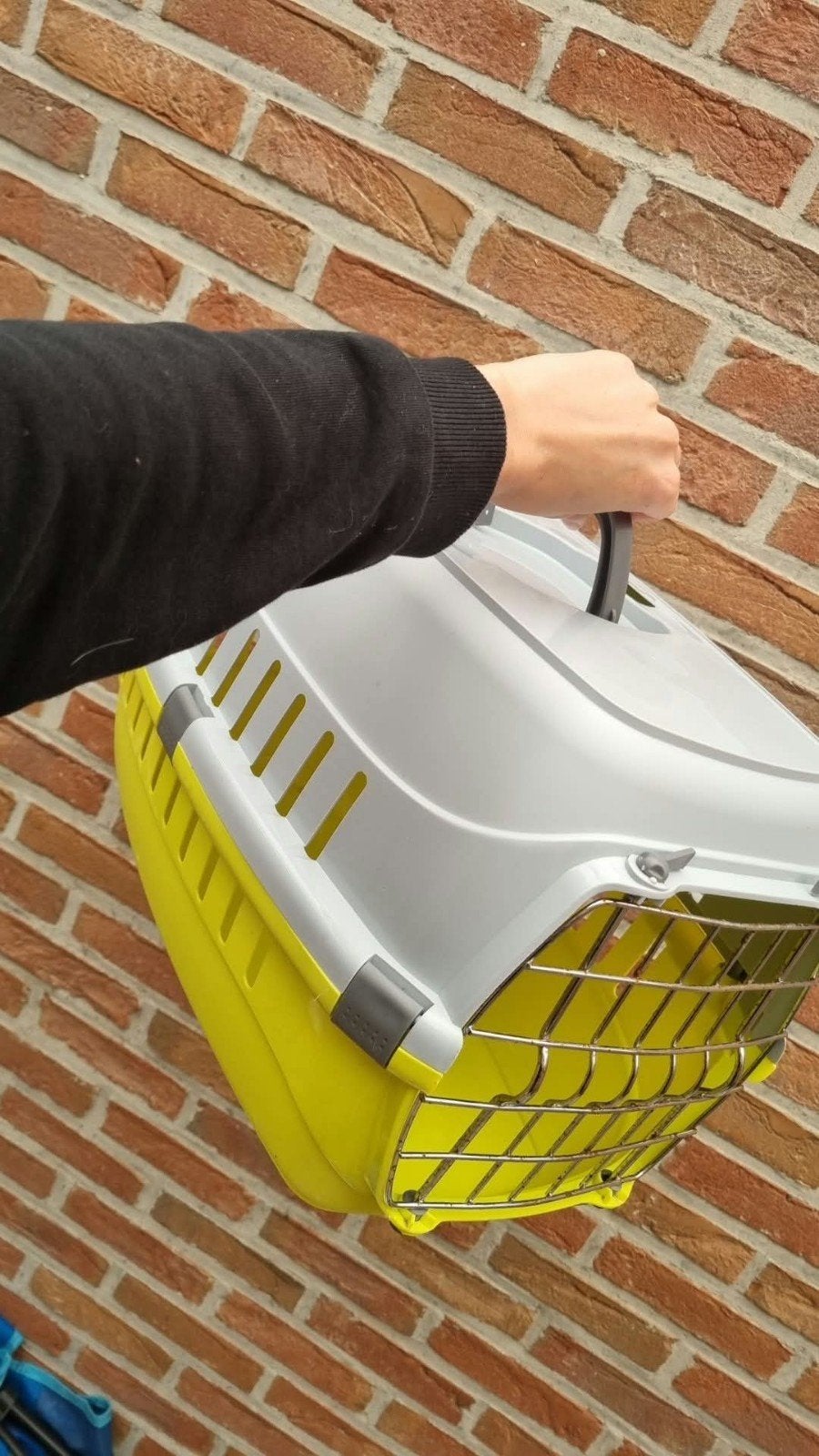 reisbakje kat/hond, Ophalen