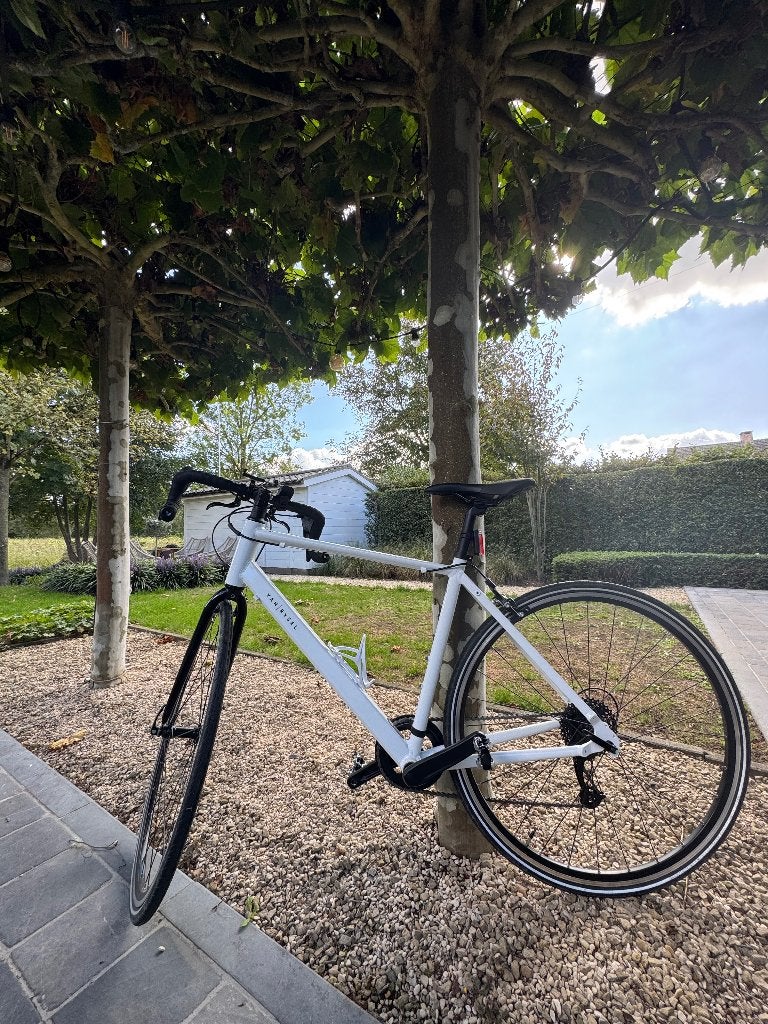 Racefiets, Fietsen en Brommers, Dames, Schijfrem, 65 cm of meer, Ophalen