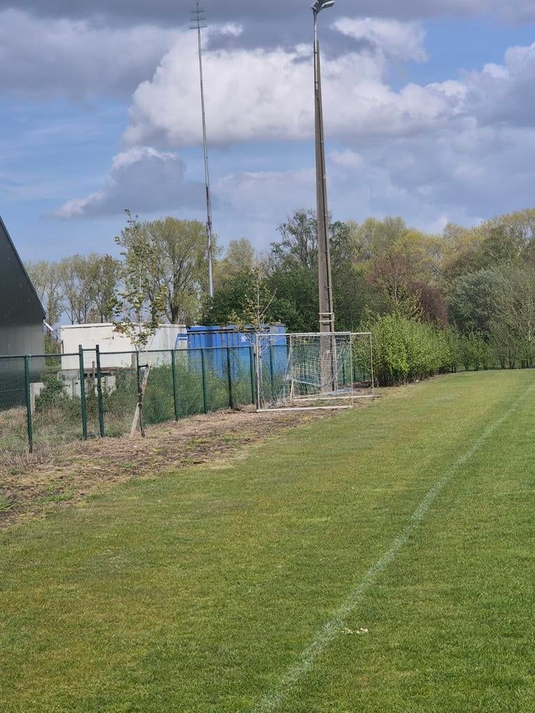 Goal te koop, Dieren en Toebehoren, Stalling en Weidegang