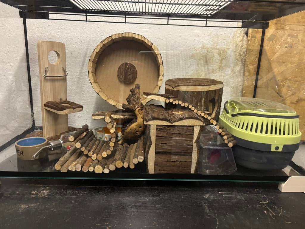 Cage a hamster en verre avec accessoires, Enlèvement, Comme neuf, Cage, Hamster
