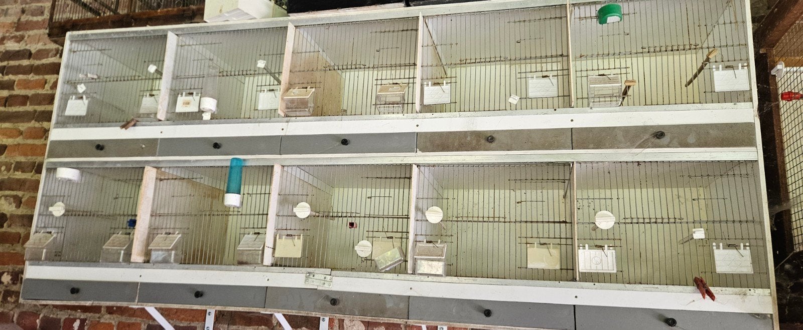 Cage oiseaux, Animaux & Accessoires