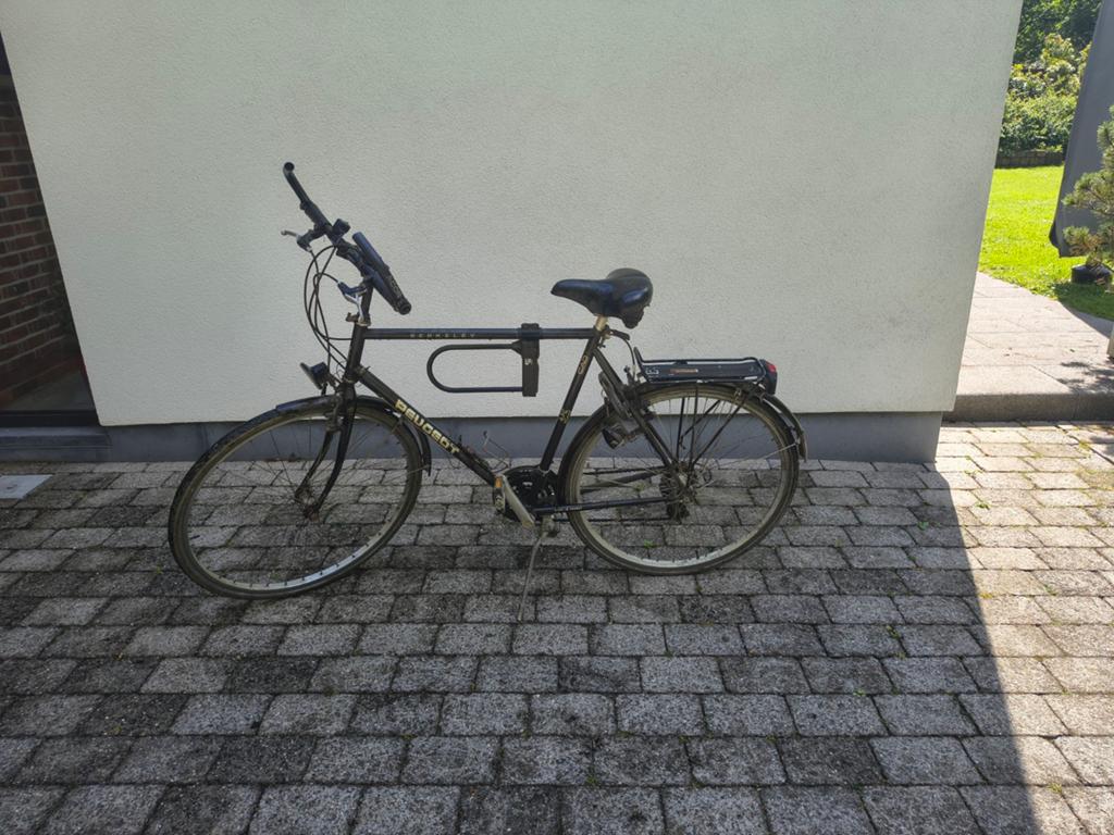 Herenfiets Peugeot, Fietsen en Brommers, Fietsen | Heren | Herenfietsen, Ophalen