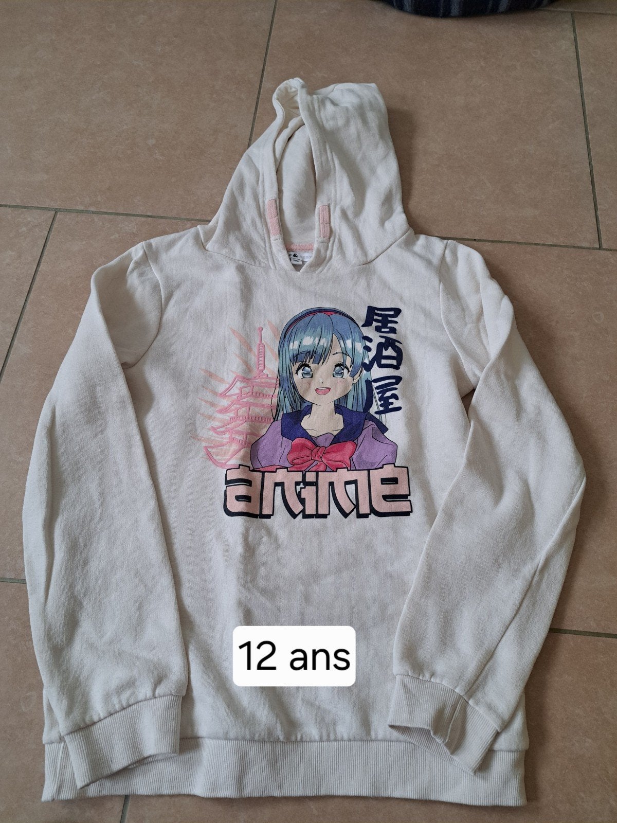 Pull, sweats  fille 12 ans., Enlèvement ou Envoi, Utilisé, Fille, Pull ou Veste