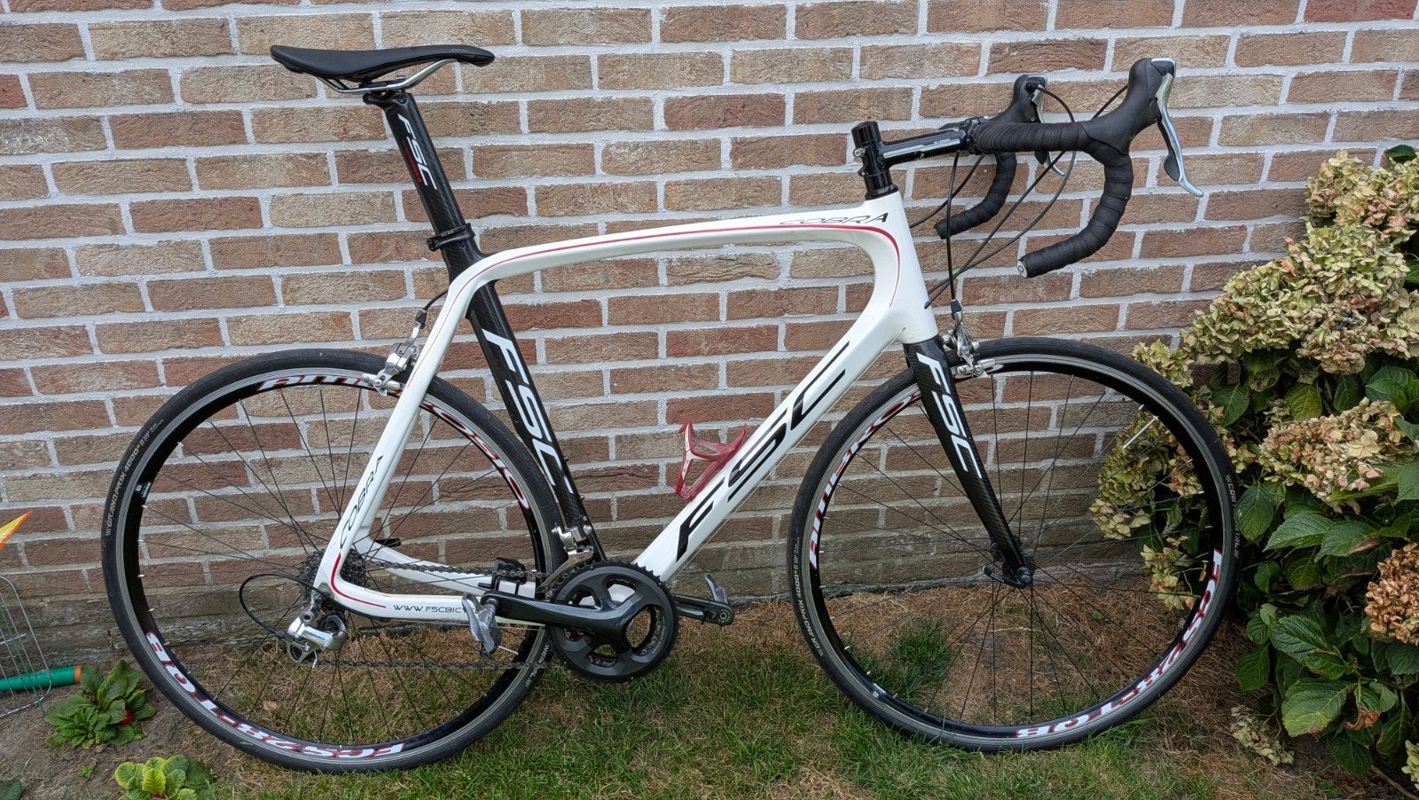 FSC cobra, Fietsen en Brommers, Fietsen | Racefietsen, Ophalen of Verzenden, Carbon