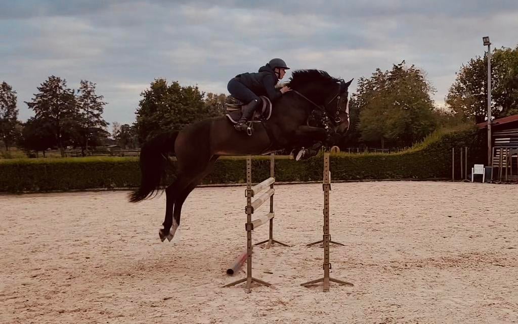 Ruiter jonge paarden, Dieren en Toebehoren