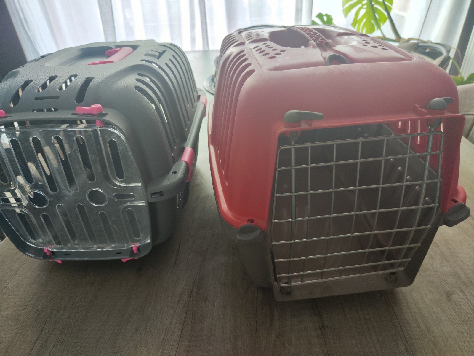 cages chat, petit chien, Enlèvement, Comme neuf