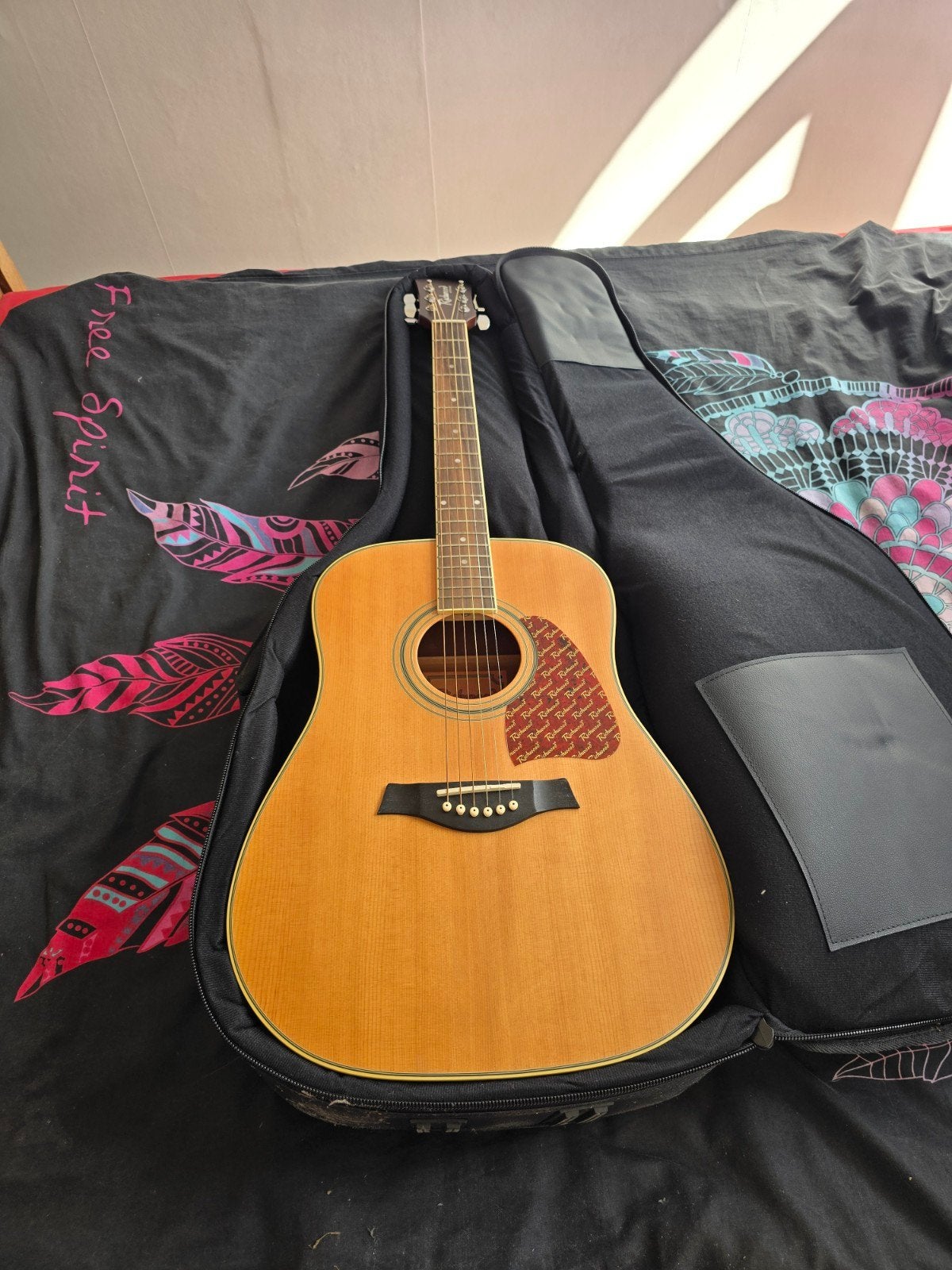 Guitare "Richwood Artist Series RD-17C", Enlèvement, Comme neuf, Avec valise
