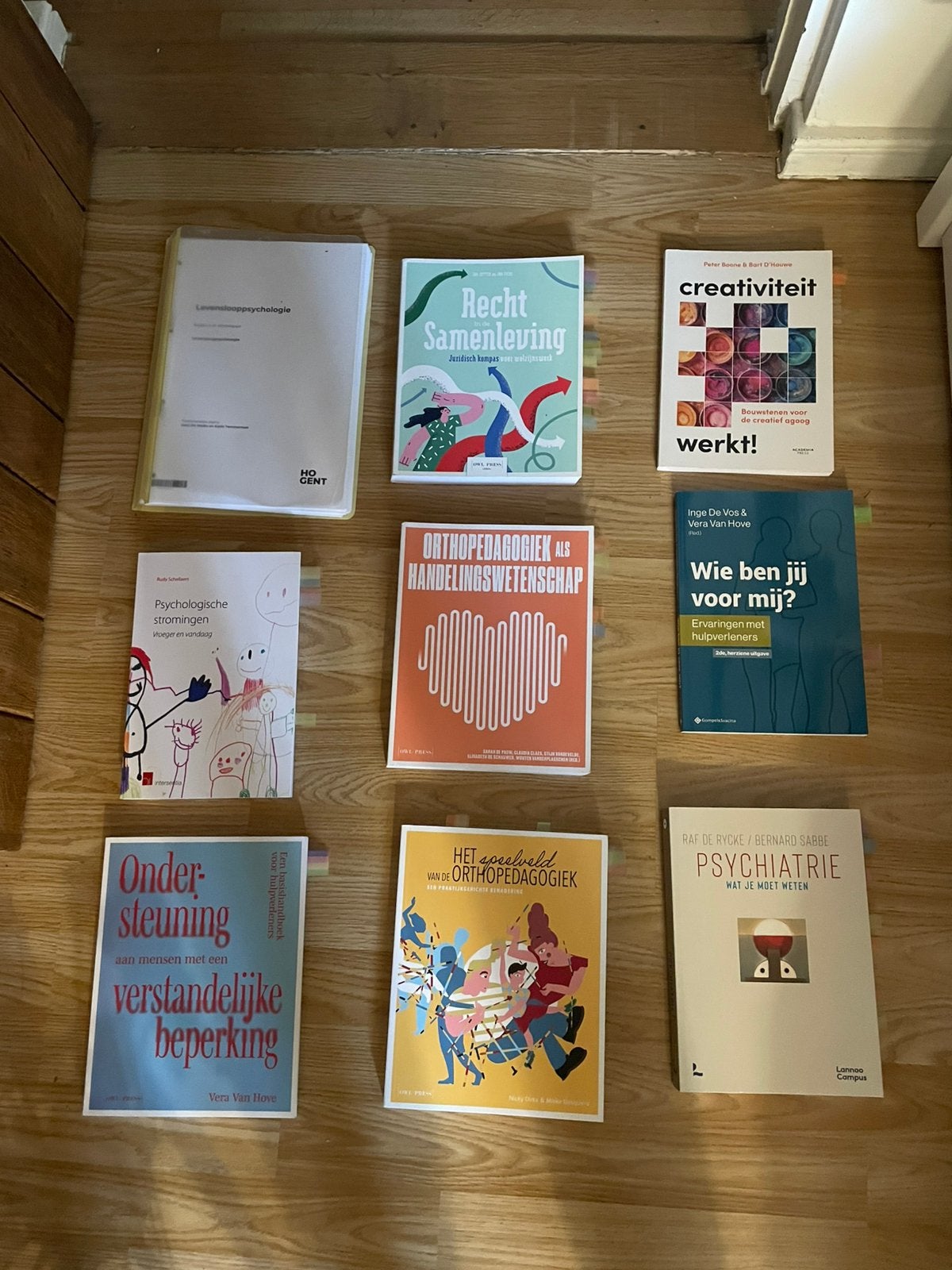 Boeken 1e jaar orthopedagogie, Enlèvement, Comme neuf