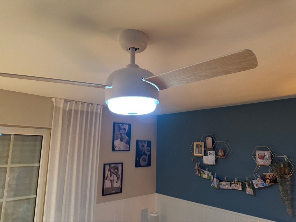 Plafondventilator Create, Electroménager, Ventilateurs, Enlèvement, Ventilateur avec télécommande, Utilisé, Ventilateur de plafond