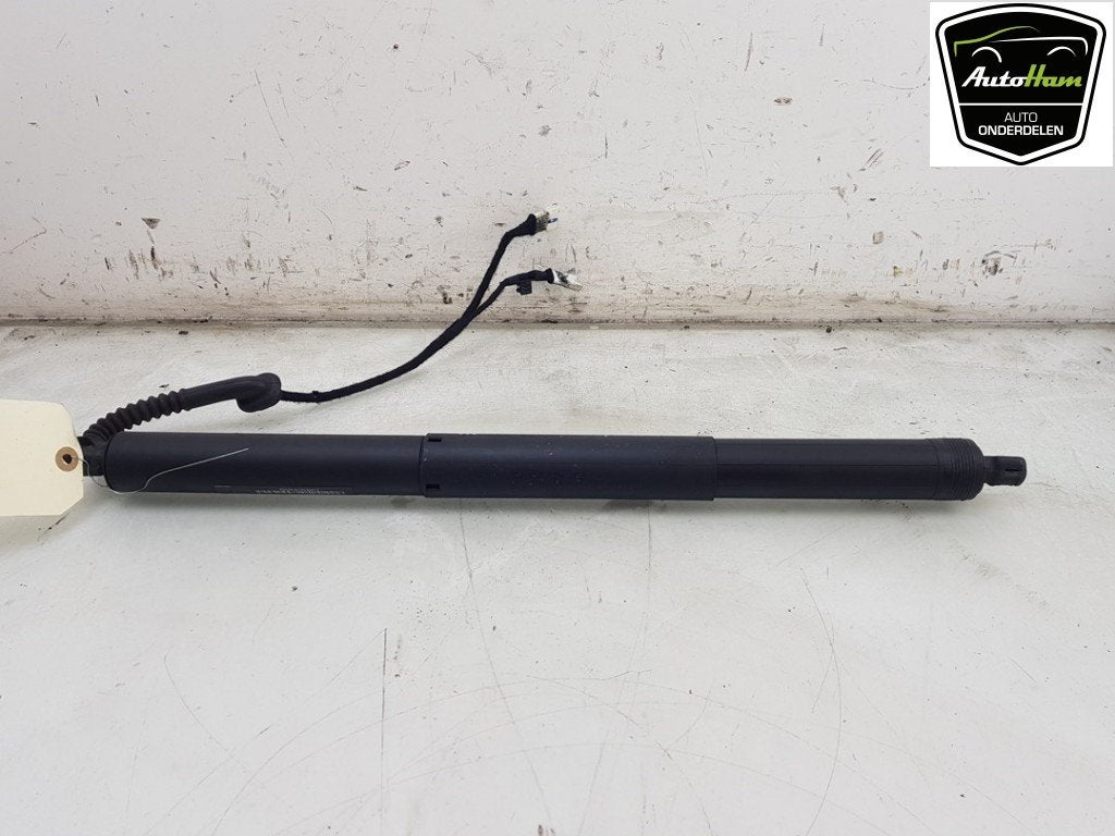 MOTEUR DE HAYON BMW X5 (F15) (01-2013/07-2018), Haillon arrière, Utilisé, BMW, Petuelring 130
80809  München, DE