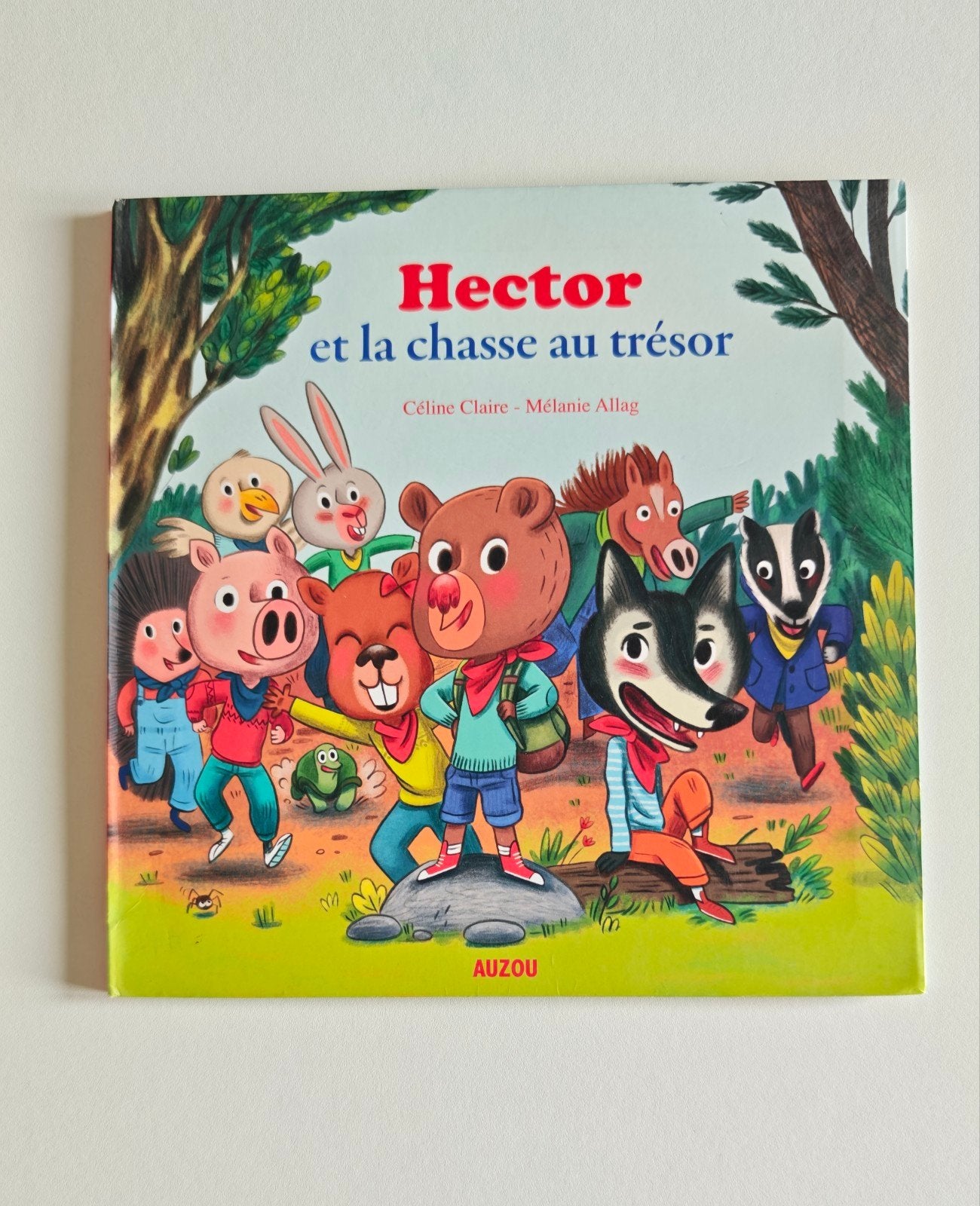 Hector et la chasse au trésor, Ophalen of Verzenden, Zo goed als nieuw