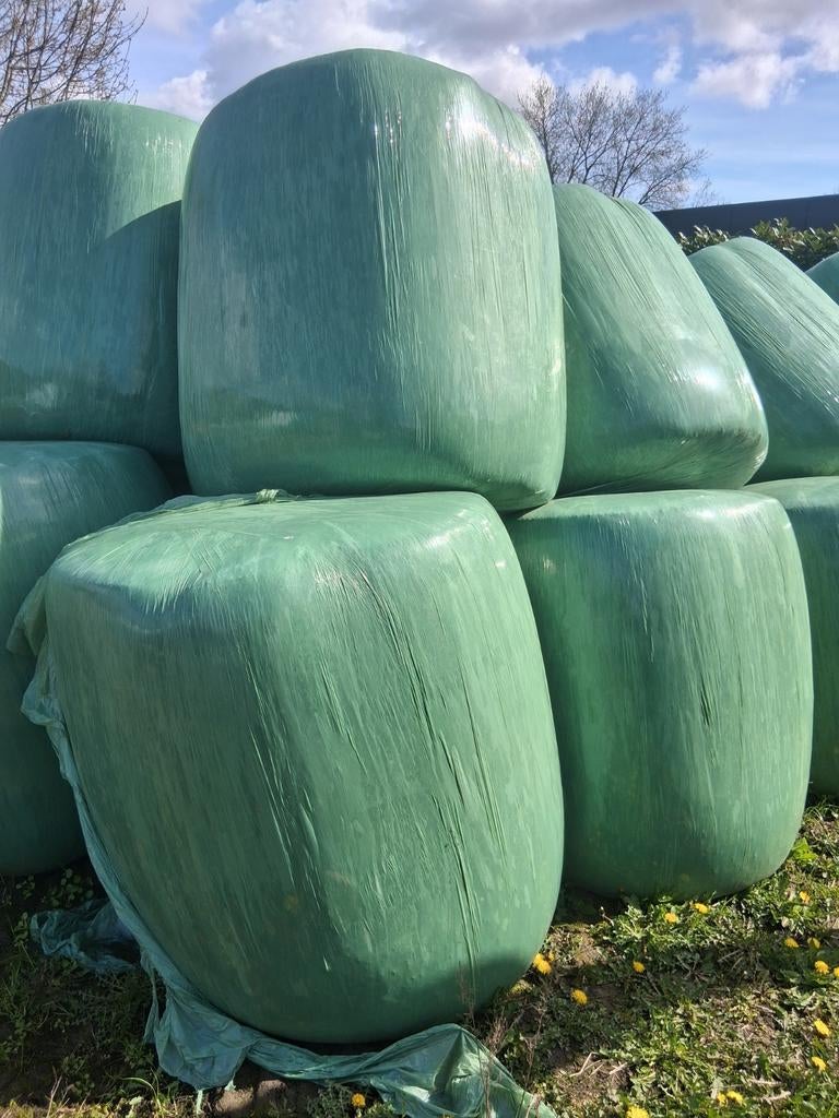 Mais maisbalen, Ophalen