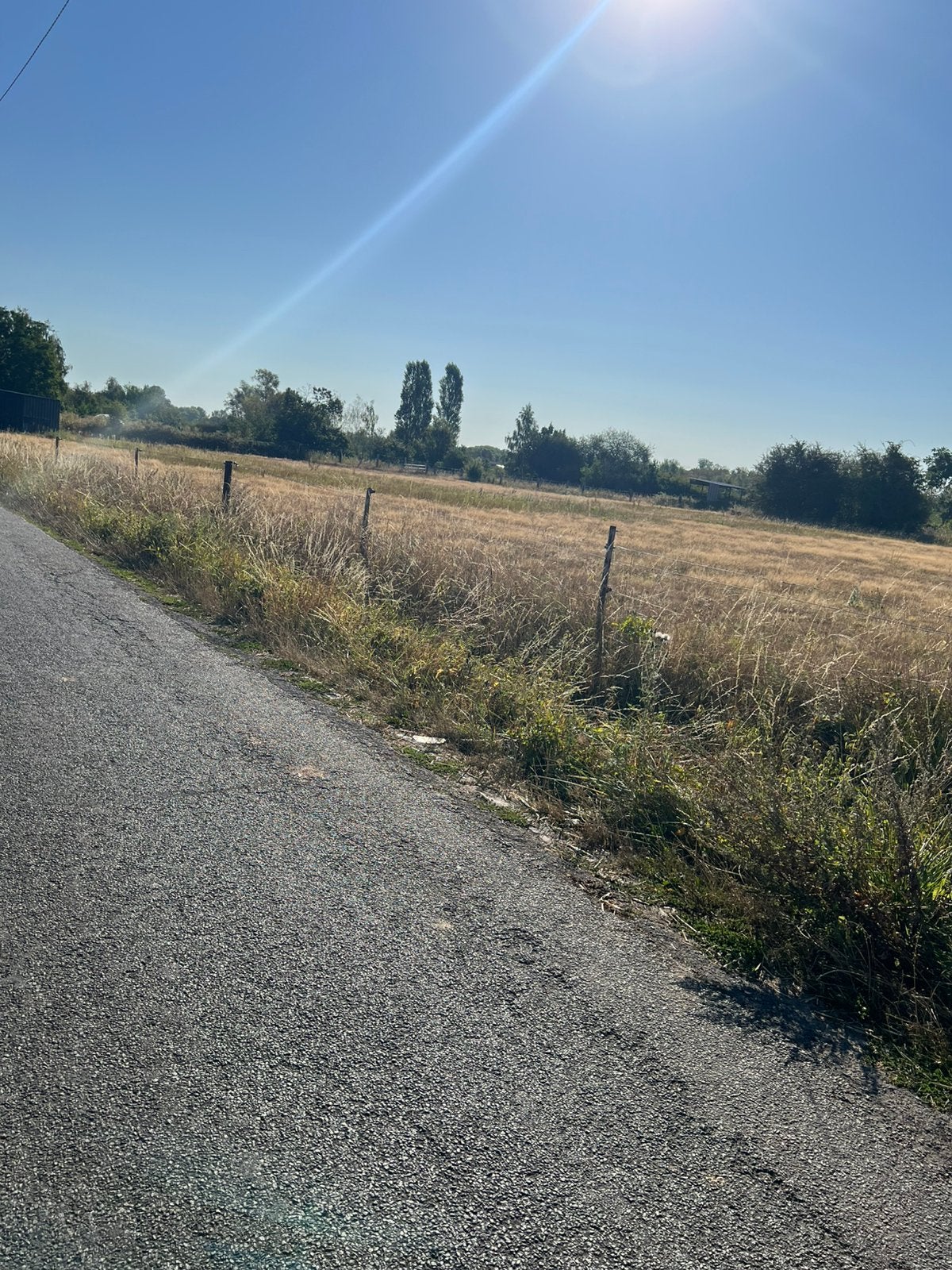 Terrain  agricole Hensies, Enlèvement ou Envoi, Élevage de chevaux