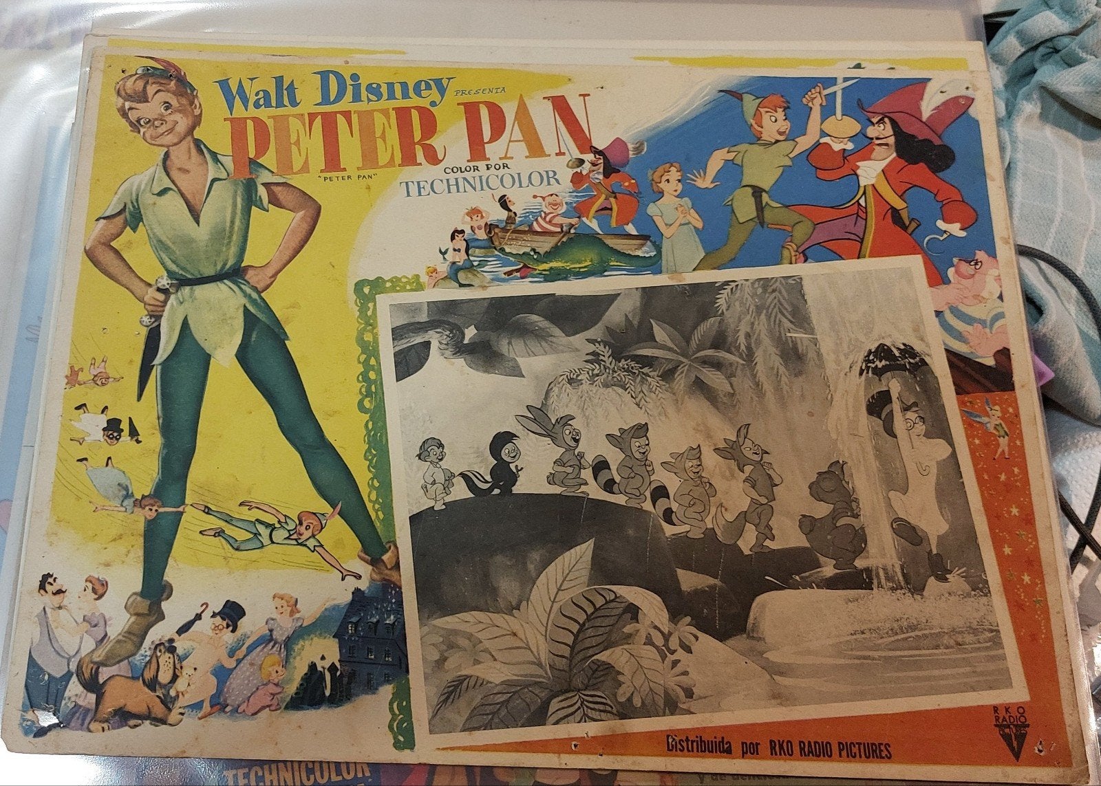 Spaanse lobbykaart Peter Pan 1953, Ophalen