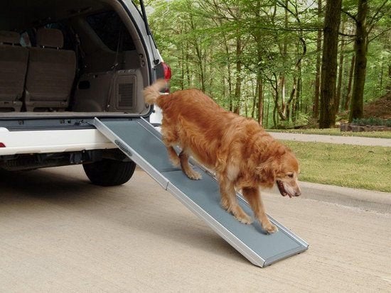 uitschuifbare loopplank aluminium M, Overige merken, Ophalen, Zo goed als nieuw, Hondenloopplank
