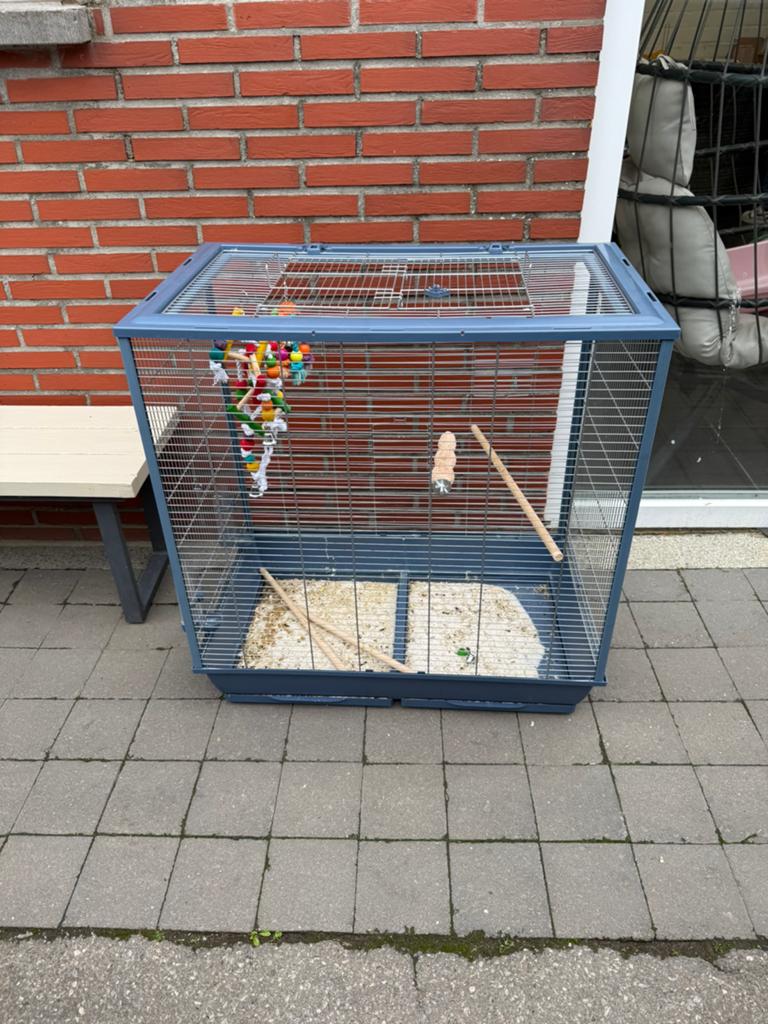 Papegaai kooi, Ophalen, Zo goed als nieuw, Kooi