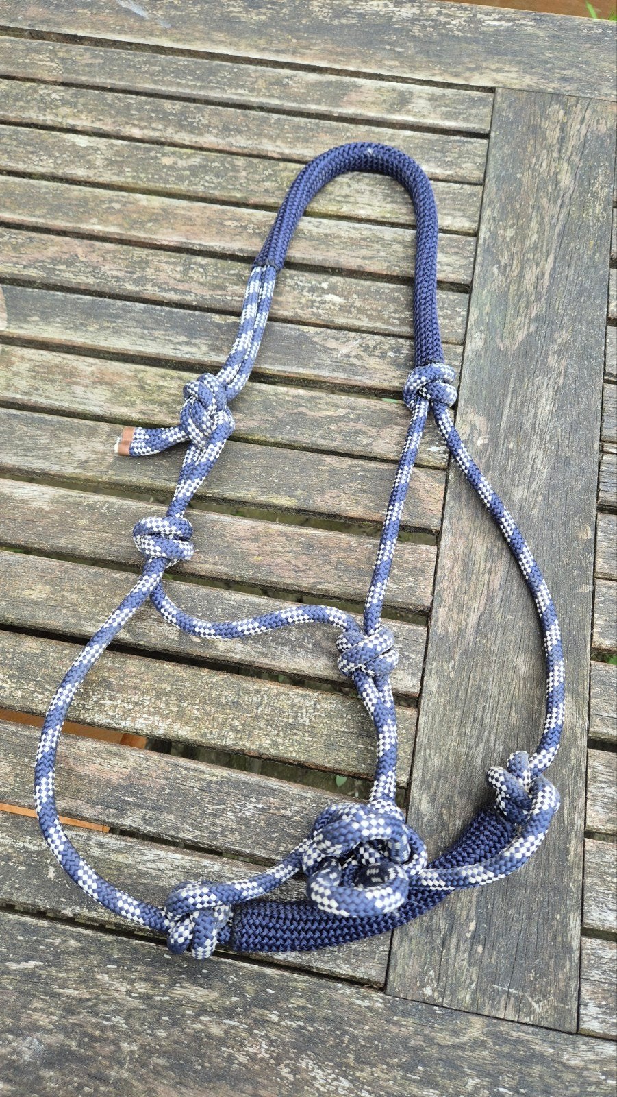 Licol éthologique, Animaux & Accessoires