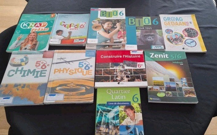 Livres Manuels scolaires 5/6 secondaire français et néerland, Boeken, Ophalen of Verzenden, Geschiedenis