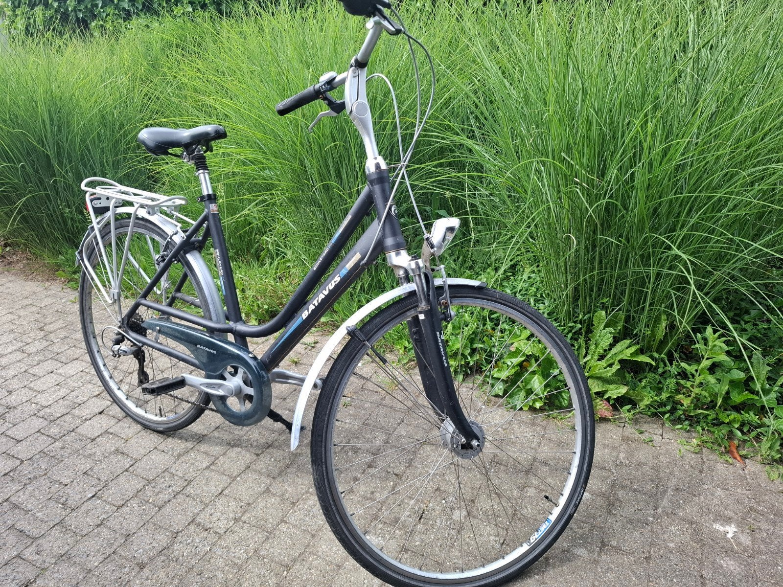 Batavus Boulevard (taille du cadre 53), Enlèvement, Batavus