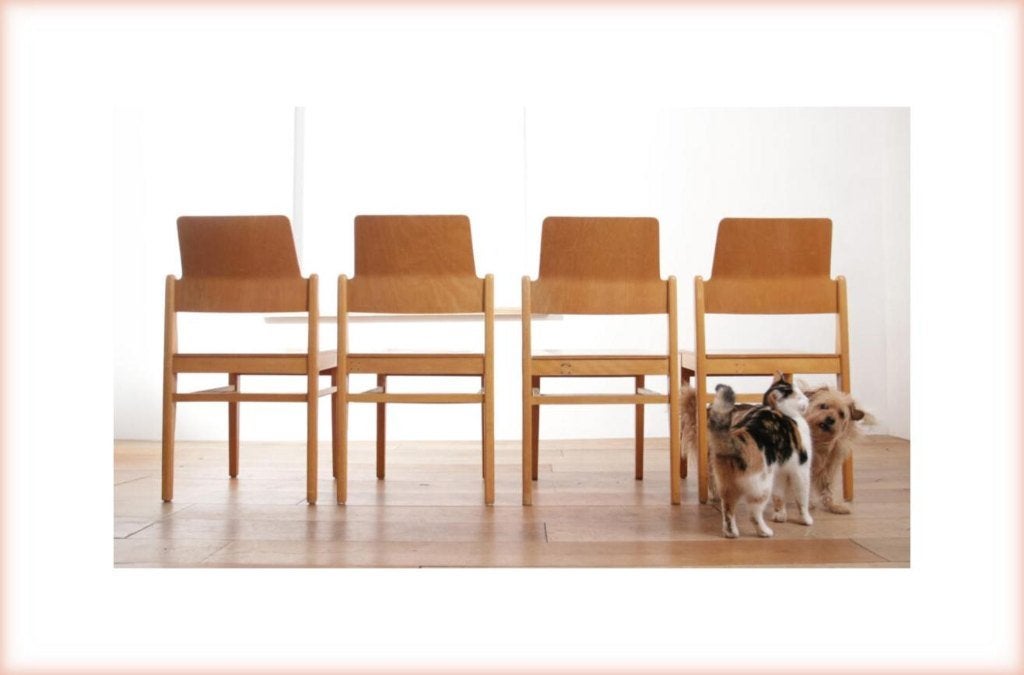 Vintage Design houten stoelen met plaats voor je tijdschrift, Enlèvement