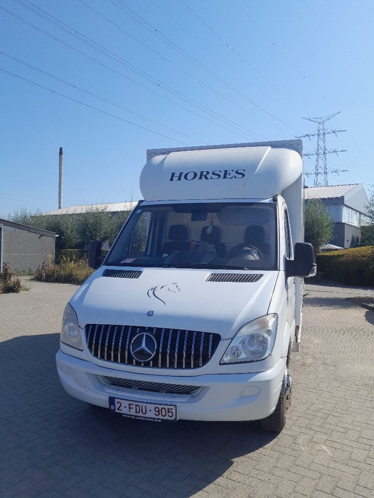 Paardencamionette, Dieren en Toebehoren, Ophalen, Gebruikt