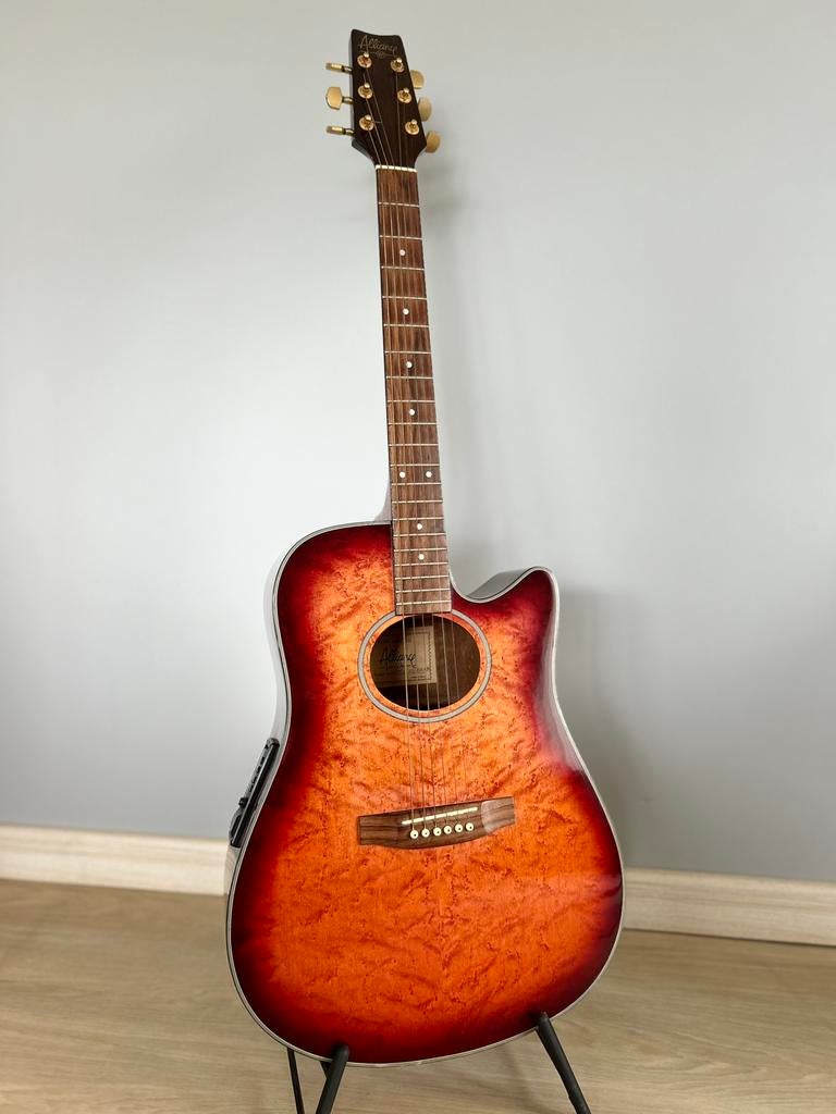 Alliance VP semi akoestische gitaar ‘90, Muziek en Instrumenten, Snaarinstrumenten | Gitaren | Akoestisch, Ophalen