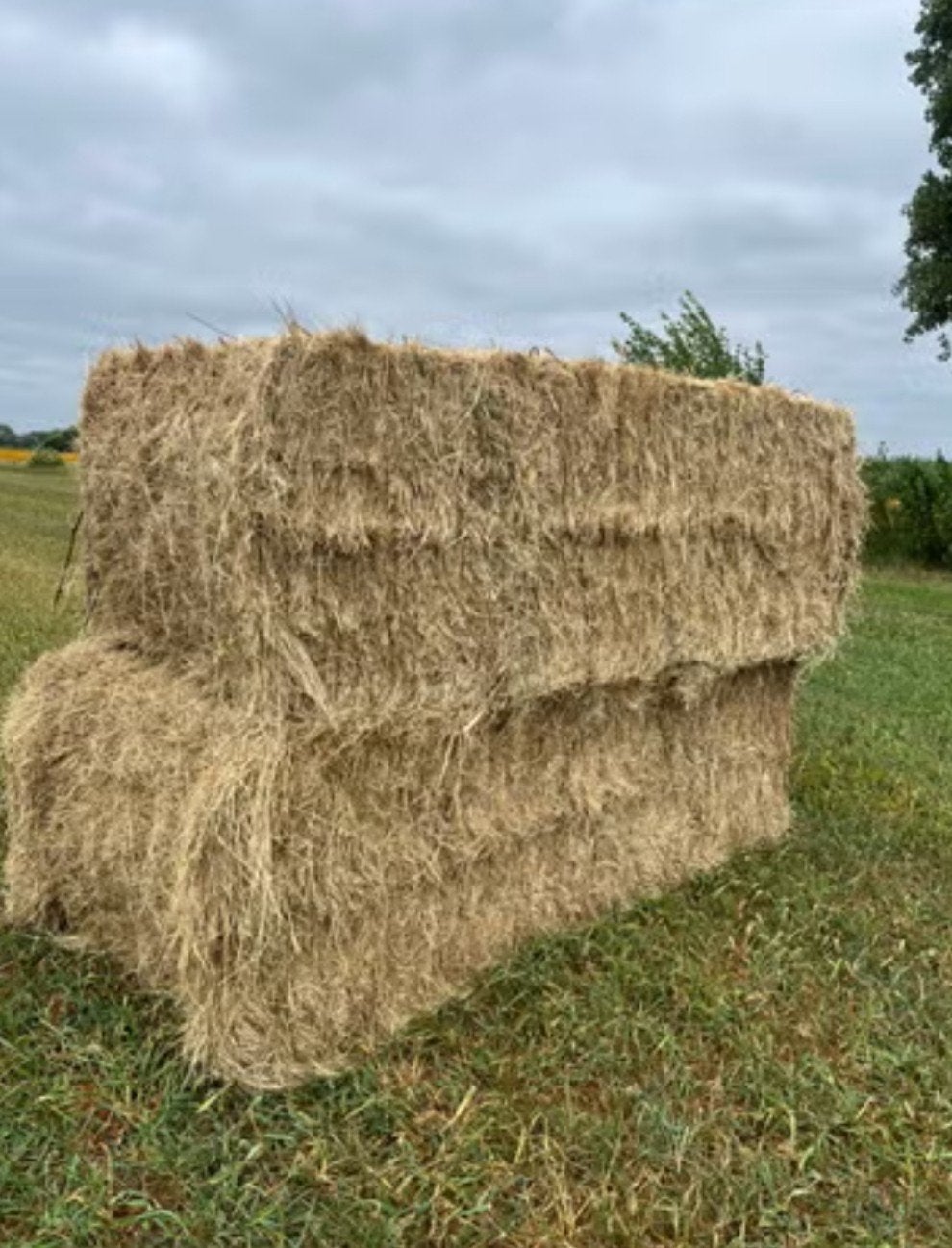 grote botten hooi, Ophalen