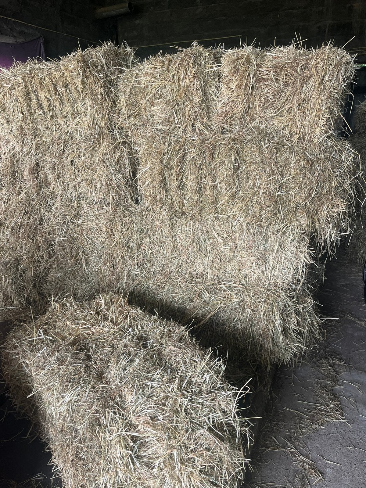 Hooi geschikt voor paarden, Ophalen