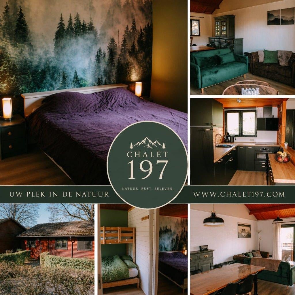 Kindvriendelijke chalet te huur, Internet, 2 slaapkamers, Recreatiepark, In bos