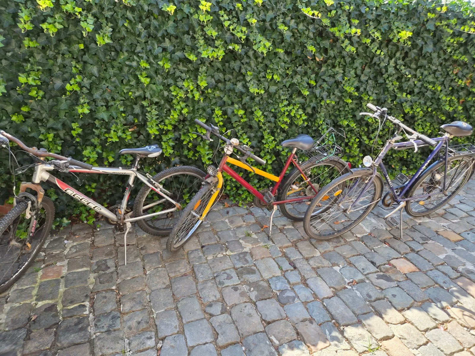 Fietsen 3 x, Ophalen