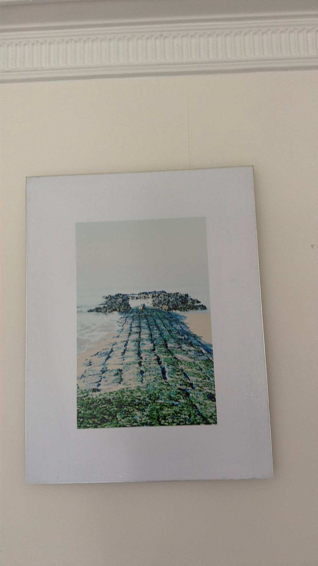 Mooi foto kunstwerk op aluminium, Ophalen of Verzenden